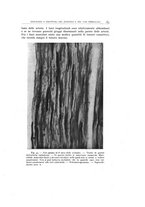 giornale/TO00193694/1944/20-21/00000073