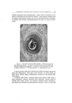 giornale/TO00193694/1944/20-21/00000079