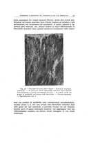 giornale/TO00193694/1944/20-21/00000087