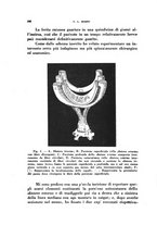 giornale/TO00193701/1944/unico/00000456