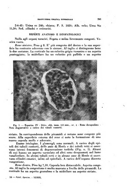 Ricerche e studi di patologia sperimentale