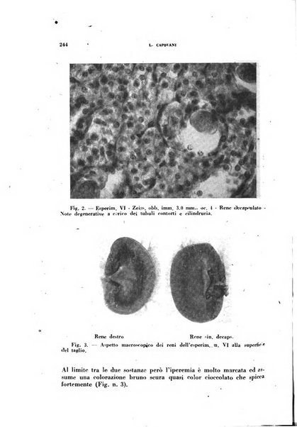 Ricerche e studi di patologia sperimentale