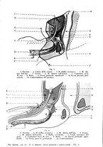 giornale/TO00193701/1946/unico/00000146