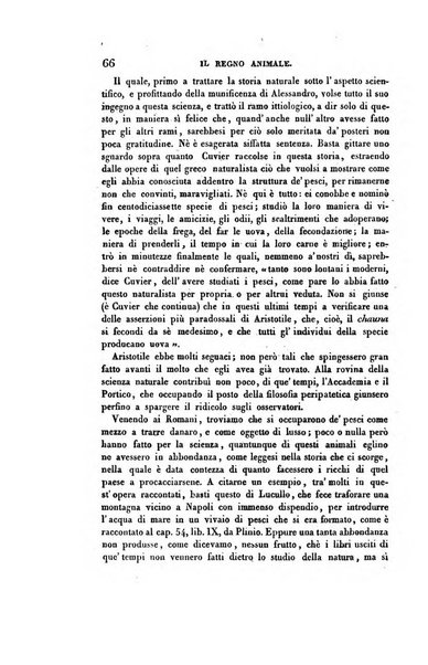 Ricoglitore italiano e straniero, ossia rivista mensuale europea di scienze, lettere, belle arti, bibliografia e varieta