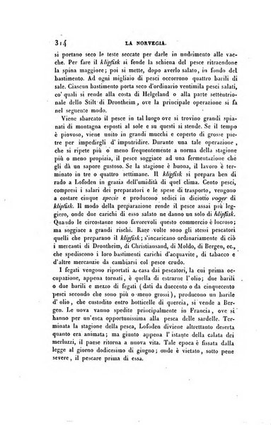 Ricoglitore italiano e straniero, ossia rivista mensuale europea di scienze, lettere, belle arti, bibliografia e varieta