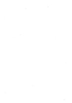 giornale/TO00193763/1908/v.1/00000008