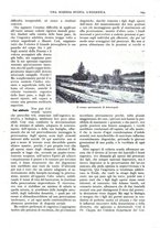 giornale/TO00193860/1926/unico/00000343