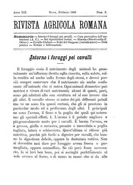 Rivista agricola romana pubblicazione ufficiale del Comizio agrario di Roma