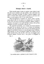 giornale/TO00193890/1888/unico/00000246