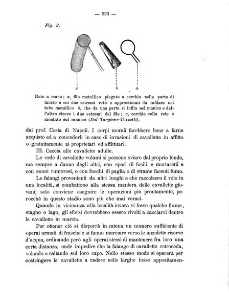 Rivista agricola romana pubblicazione ufficiale del Comizio agrario di Roma