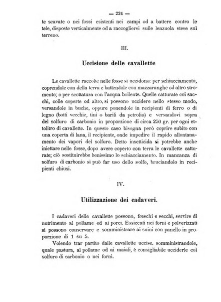 Rivista agricola romana pubblicazione ufficiale del Comizio agrario di Roma