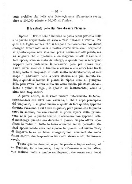 Rivista agricola romana pubblicazione ufficiale del Comizio agrario di Roma