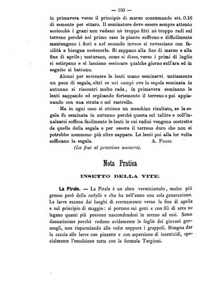 Rivista agricola romana pubblicazione ufficiale del Comizio agrario di Roma