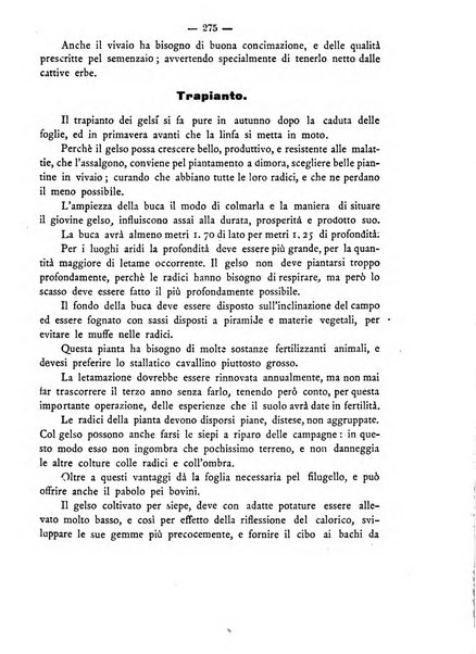 Rivista agricola romana pubblicazione ufficiale del Comizio agrario di Roma