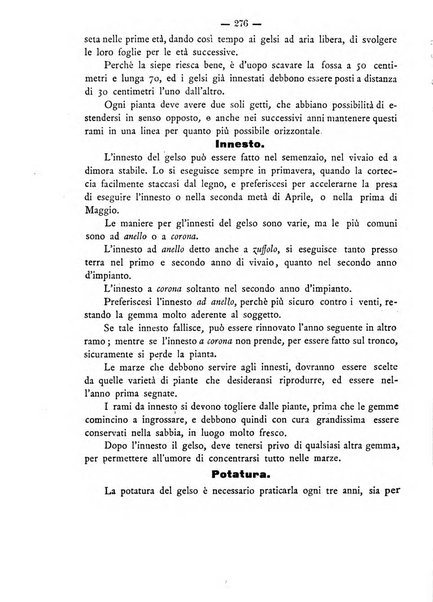 Rivista agricola romana pubblicazione ufficiale del Comizio agrario di Roma