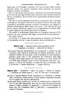 giornale/TO00193892/1905/unico/00000209