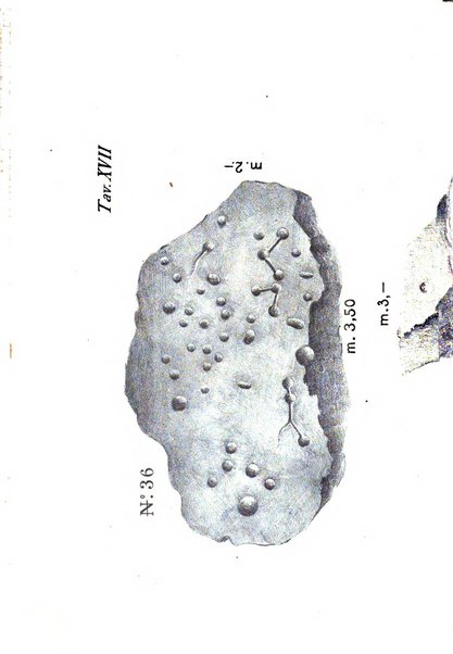 Rivista archeologica della provincia di Como