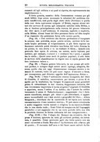 giornale/TO00193898/1905/unico/00000042