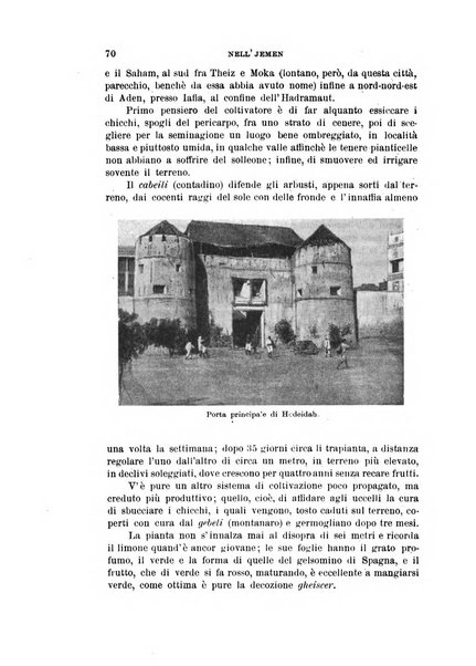 Rivista coloniale organo dell'Istituto coloniale italiano