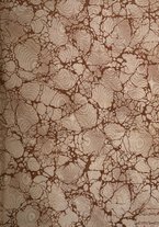 giornale/TO00193903/1908/unico/00000003