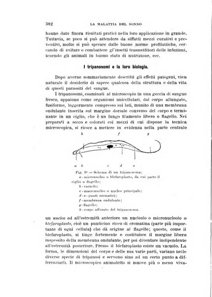 Rivista coloniale organo dell'Istituto coloniale italiano