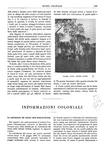 Rivista coloniale organo dell'Istituto coloniale italiano