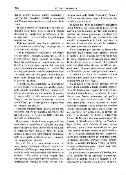 Rivista coloniale organo dell'Istituto coloniale italiano