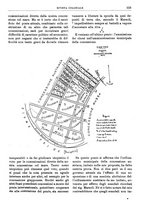 giornale/TO00193903/1911/unico/00000267