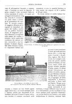giornale/TO00193903/1912/V.2/00000217