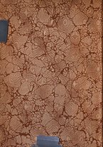 giornale/TO00193903/1914/V.1/00000002