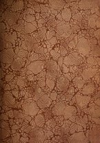 giornale/TO00193903/1914/V.1/00000003