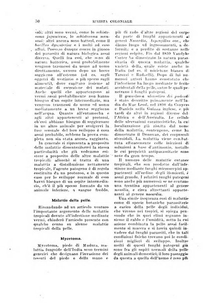 Rivista coloniale organo dell'Istituto coloniale italiano