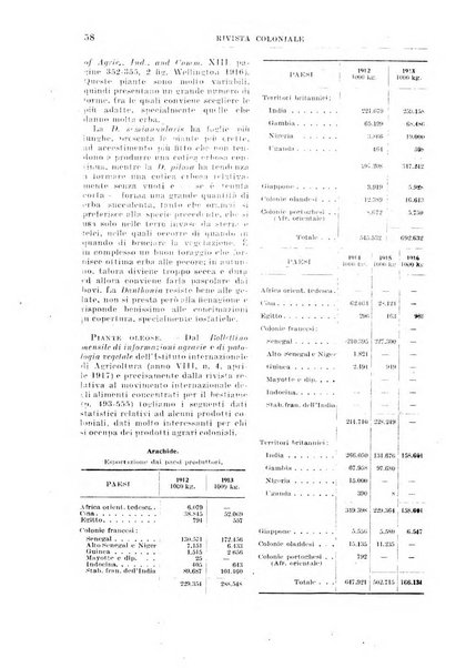 Rivista coloniale organo dell'Istituto coloniale italiano