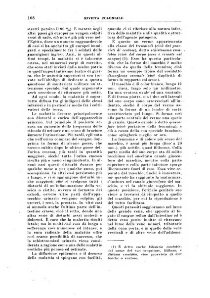 Rivista coloniale organo dell'Istituto coloniale italiano