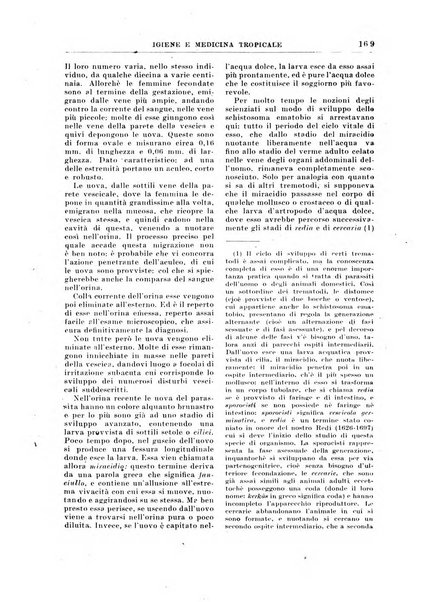 Rivista coloniale organo dell'Istituto coloniale italiano