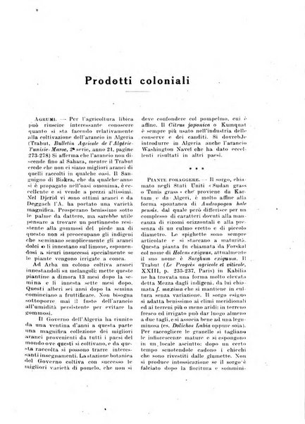 Rivista coloniale organo dell'Istituto coloniale italiano