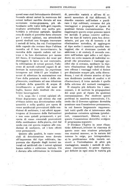 Rivista coloniale organo dell'Istituto coloniale italiano