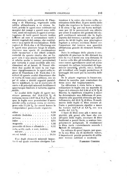 Rivista coloniale organo dell'Istituto coloniale italiano