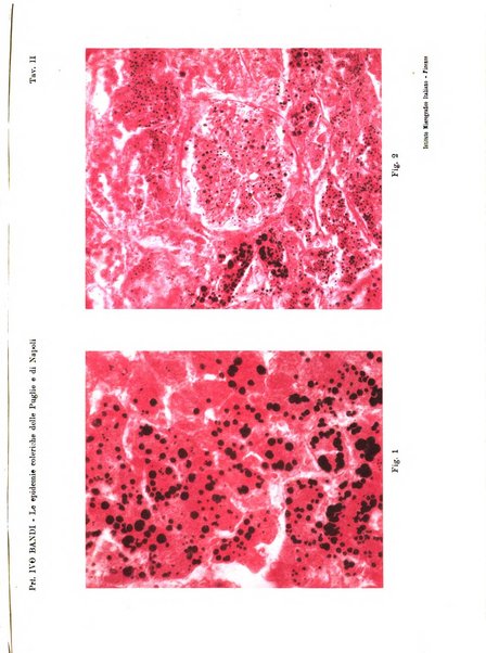 Rivista critica di clinica medica