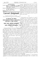 giornale/TO00193913/1916/unico/00000395