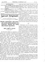 giornale/TO00193913/1917/unico/00000043