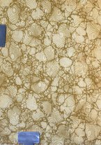 giornale/TO00193913/1921/unico/00000002