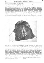 giornale/TO00193913/1923/unico/00000178