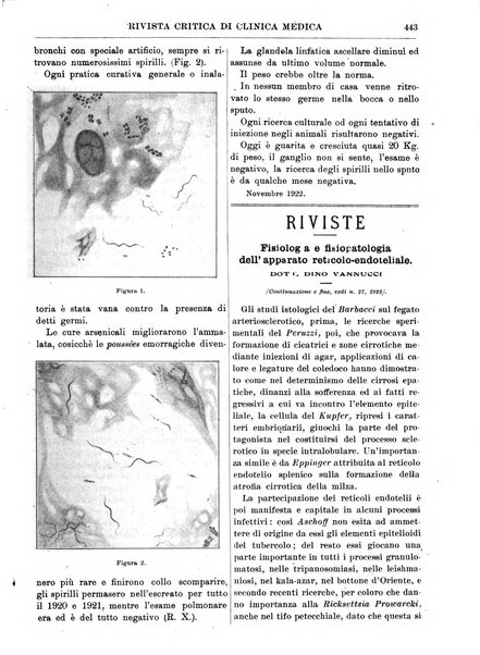 Rivista critica di clinica medica