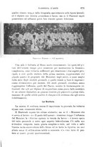 giornale/TO00193923/1909/v.1/00000683