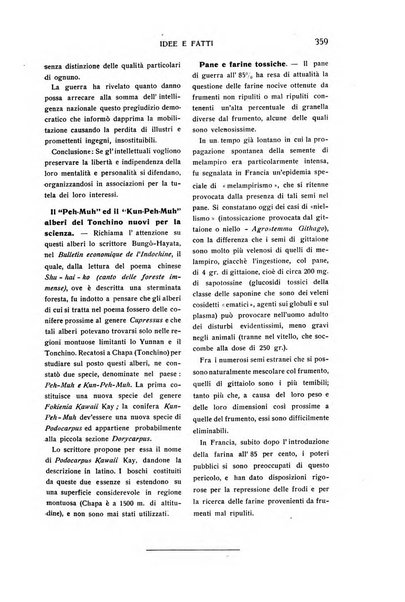 Rivista d'Italia