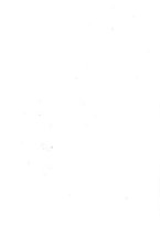 giornale/TO00194001/1908/unico/00000008