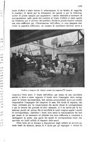 giornale/TO00194005/1910/unico/00001185