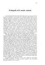 giornale/TO00194005/1911/unico/00000233