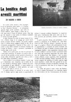 giornale/TO00194017/1941/unico/00000141